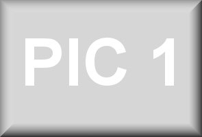 pic1