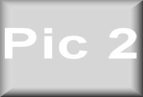 pic2