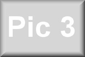 pic3