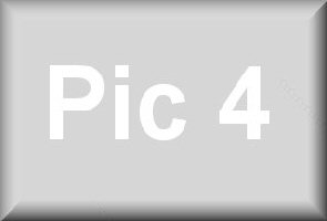 pic4