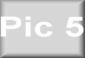 pic5