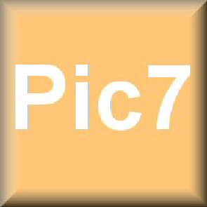 pic7