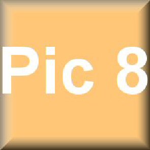 pic8