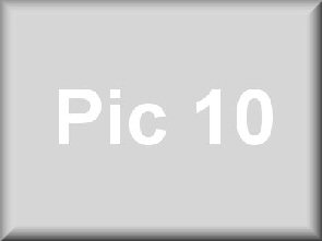 pic10