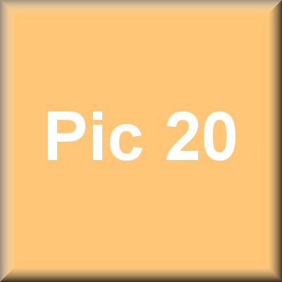 pic title 20