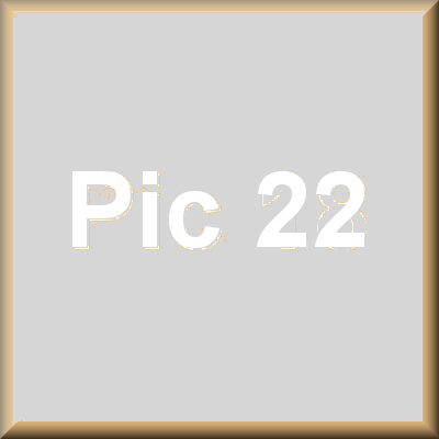 pic title 22
